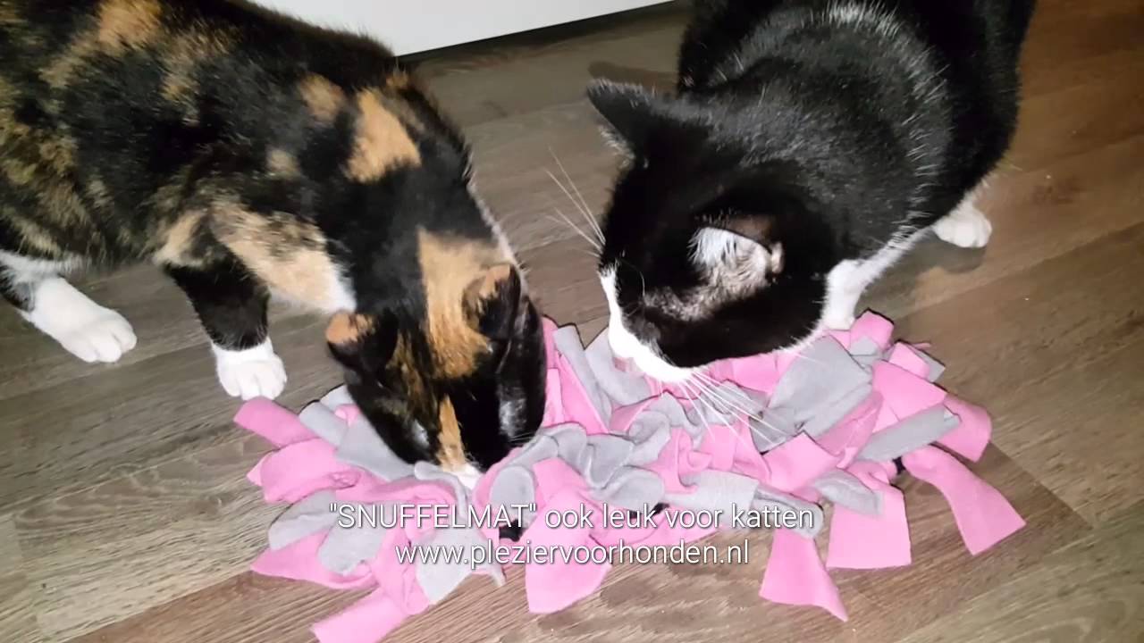 Snuffelmat voor katten