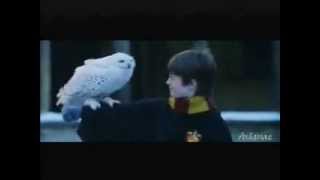 Harry Potter Enya