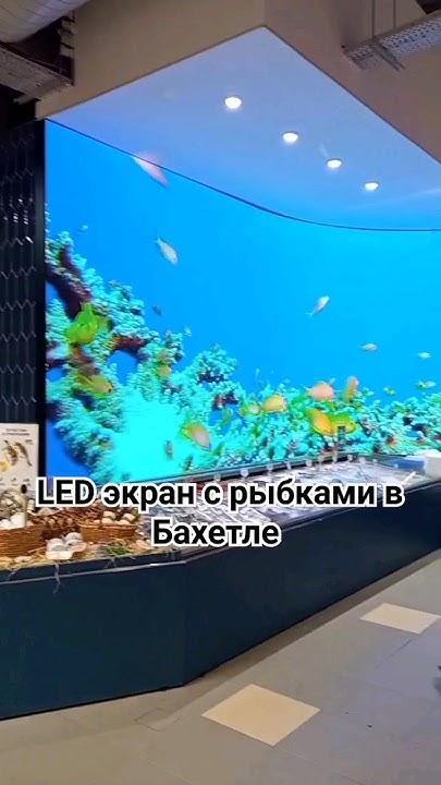 Красивый "аквариум" в Бахетле, Казань #дизайн #аквариум #fish #рыба ...