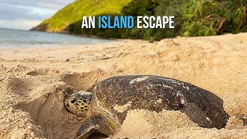 An island escape | Côn Đảo hướng tới du lịch sinh thái bền vững