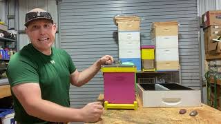 What to do after catching a swarm!