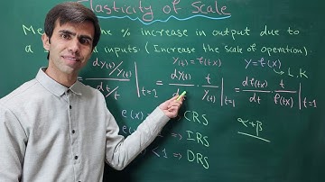 Elasticity of Scale: Concept and Formula