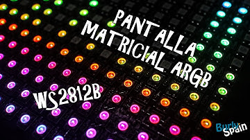¡Cómo molan estos paneles! Matriz de 16x16 LEDs ARGB WS2812B