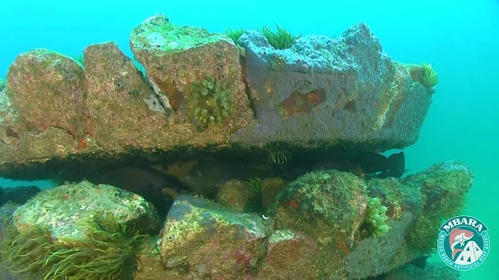 MB 178 Terry & Sharyn Joy Kerns Memorial Reef 27 A...