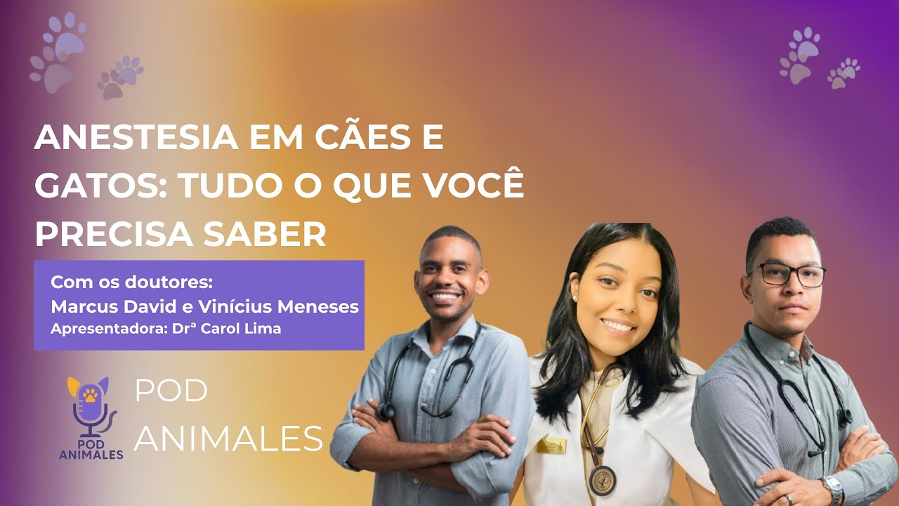 ANESTESIA EM CÃES  E GATOS: TUDO O QUE VOCÊ PRECISA SABER