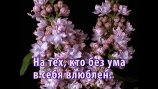 Исповедь куртизанки; (b*tch...) Исповедь куртизанки; (b*tch...)
