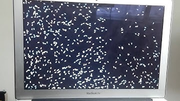 10,000 sprites in fuze basic