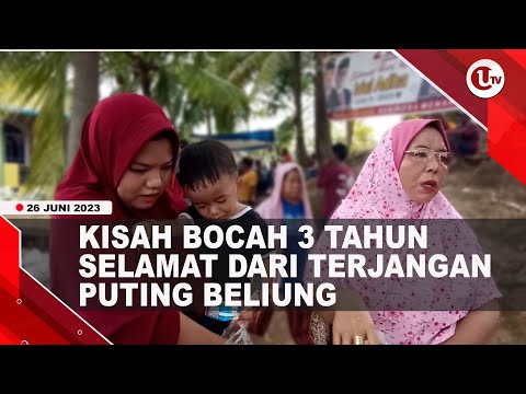BOCAH 3 TAHUN SELAMAT DARI PUSARAN PUTING BELIUNG DI PULAU KASU | U-NEWS