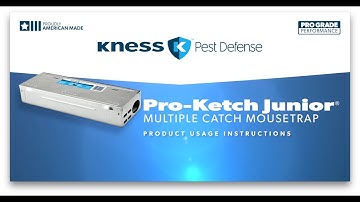 How to Set a Pro-Ketch Junior® Multiple Catch Mousetrap