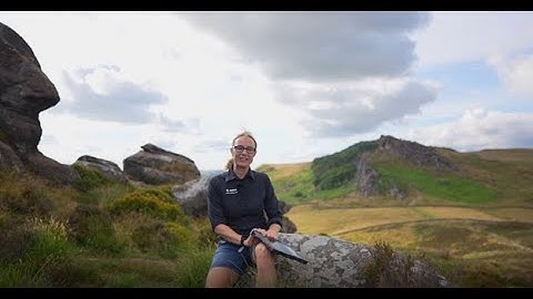 Truly Mobile | Zebra