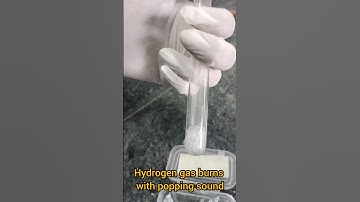 Activity 1.3 Class 10 Science