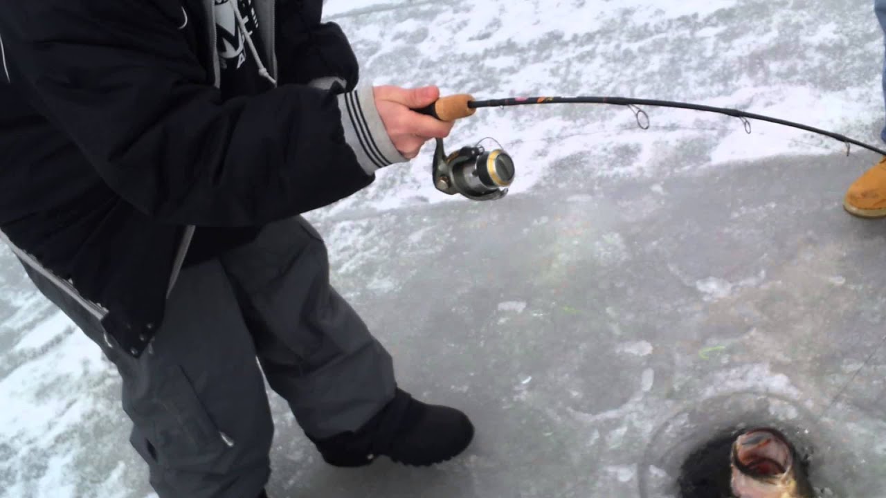 bass fishing at night Massachusetts Winter Largemouth Bass - MVBA