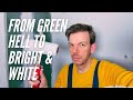 Renovating an abandoned Tiny House #74: From green hell to bright & white!