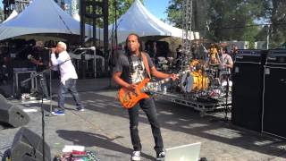 Watch Living Colour This Little Pig video