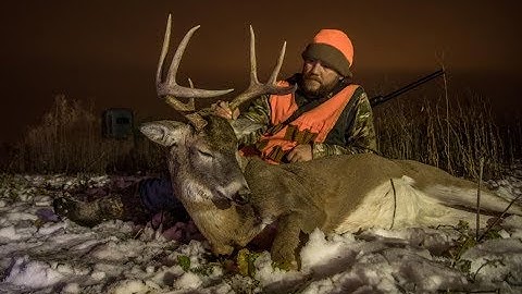 Micro Managing Food Plots For Deer Hunting Success - The Management Advantage