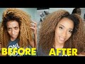 How to Bleach your Hair and KEEP YOUR CURL PATTERN