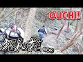 フルサス初心者がダウンヒルするとこうクラッシュする 六甲山東縦走路編