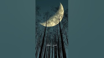 ماهر المعيقلي:سورة التحريم الاية(٨)