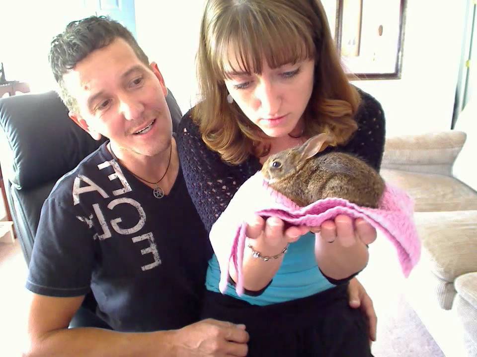starwitch-and-ron-find-an-injured-baby-bunny-so-adorable-youtube
