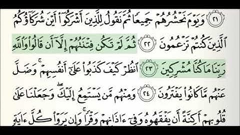 سورة الأنعام-تلاوة القرآن المجيد-بصوت الشيخ أحمد صافي الحلبي حفظه الله-قناة ناشرو خيرات السراج
