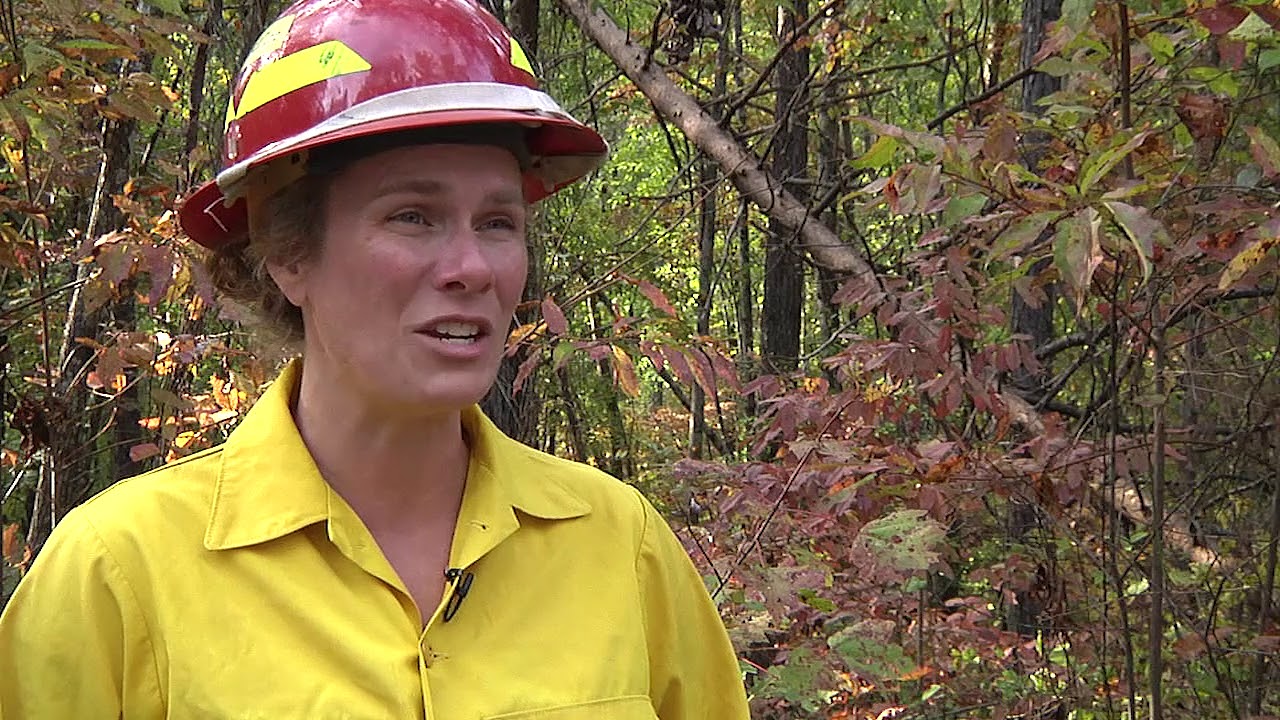 Southern Blue Ridge TREX