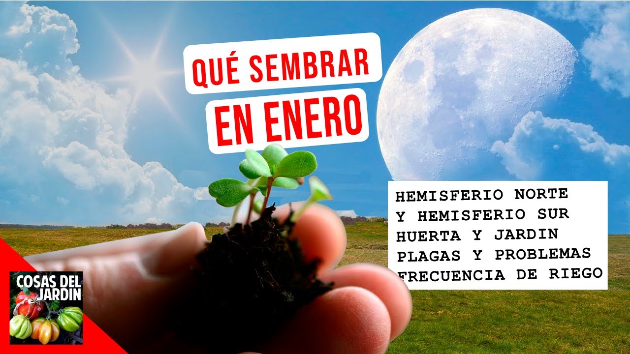 QUE SEMBRAR EN ENERO - CALENDARIO DE TAREAS HUERTO Y JARDIN 2020
