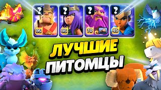 🐾 Лучшие Питомцы Для Каждого Героя В Клеш Оф Кленс | Клео Clash Of Clans