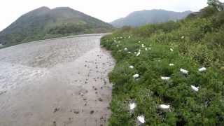1min Fly over Luk Keng 4K