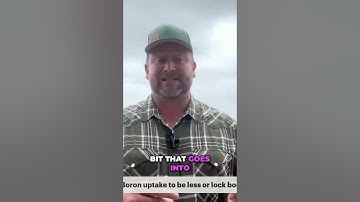 From The Field, E.5 | Unlocking Soybean Yields, Potassium and Boron Secrets