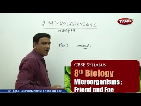 microorganisms friend or foe microorganisms friend or foe