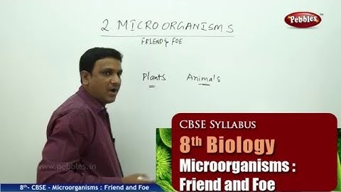 Microorganisms  Friend and Foe | Class 8th Science-Biology | NCERT | CBSE Syllabus | Live Videos
