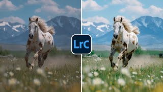Free Lightroom Preset Color 100 Before U0026 After