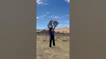 Joshua tree national park📍#joshua #shorts #shortsvideo #youtubeshorts #nationalparks #california