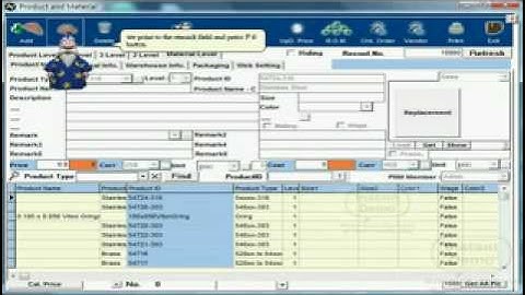 Nuclearsoft ERP system - set the different TST Record layout