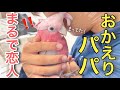 パパが出張から帰ってきた!異常な愛でお迎えするオウムww 【モモイロインコ】