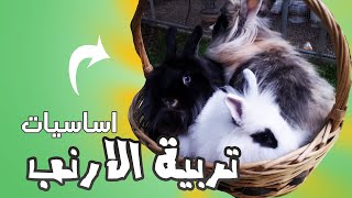 اساسيات تربية الارنب 🐰| Raising Rabbits Basics | سلسلة تربية الارانب 🐰 screenshot 5