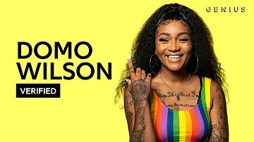 Domo Wilson "Bisexual Anthem" Official Lyrics & Meaning | Verified