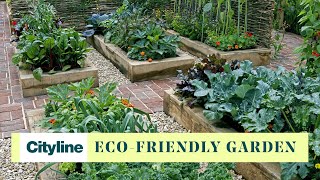 3 simple ways to make your gardening eco-friendly