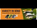 Savage Gear 3D Bluegill RTF Fishing Soft Bait
