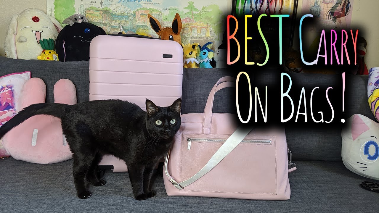 Away Travel Carry On Suitcase & Everywhere Leather Bag Review! Why