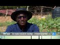 Reportage  lisfar de bambey  el hadji malick sagne lhomocactus 