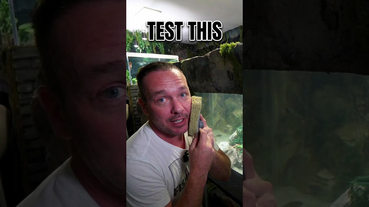 Cleaning my fish tank