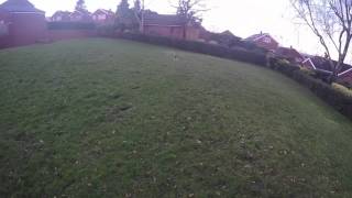 Trex500L Dominator with gpro first Test hover