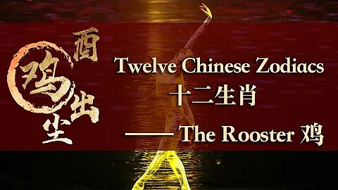 The Nirvana of the Rooster | The Chinese Phoenix 酉鸡出尘 | 光影下的凤凰涅槃 - 天天要闻