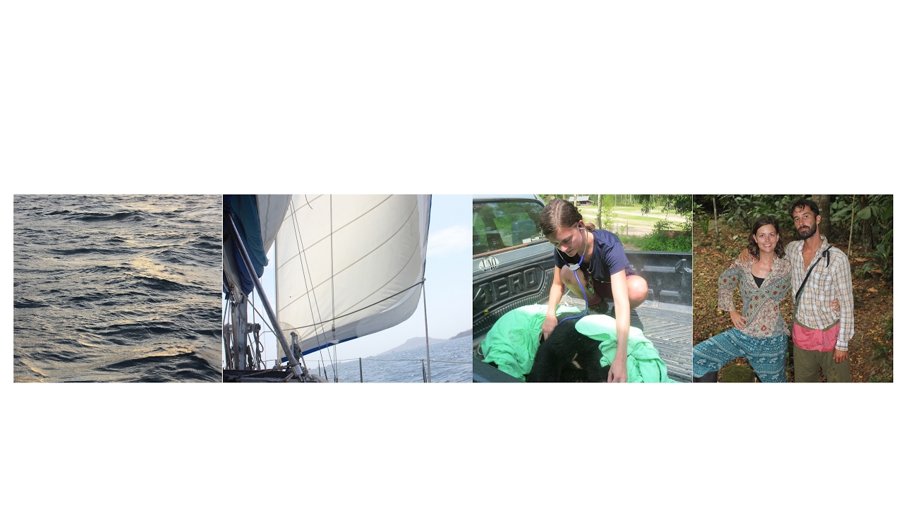 Vet Tails' Sailing Chuffed Live Stream