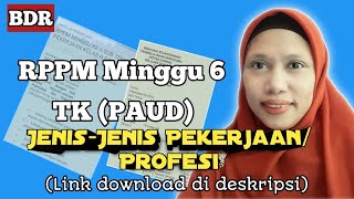 RPPM Kelompok A dan B Minggu 6 Subtema Jenis - jenis Pekerjaan / Profesi || TK ( PAUD )