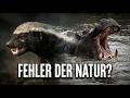 Die tödlichsten Fehler der Evolution