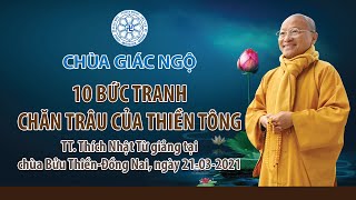 10 Bức Tranh Chăn Trâu Của Thiền Tông - Thầy Nhật Từ Giảng Tại Chùa Bửu  Thiền-Đồng Nai 21-03-2021 - Youtube