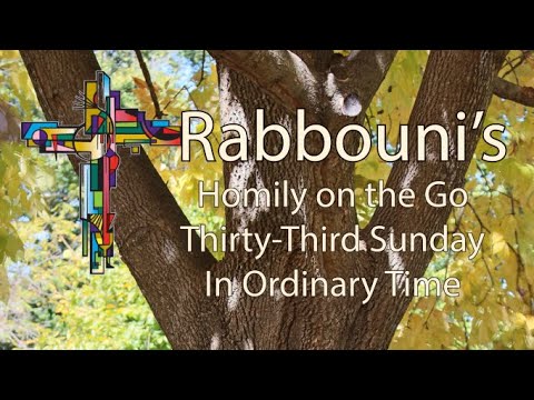Thirty Third Sunday in Ordinary Time 2022