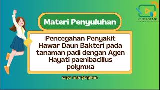 Penyuluhan Pengendalian Penyakit Hawar Daun Bakteri pada Tanaman Padi dengan Agen Hayati